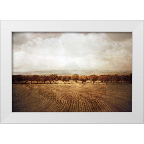 The Olive Grove White Modern Wood Framed Art Print by Jacks, Heather