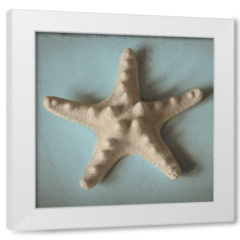 Seashell Study III White Modern Wood Framed Art Print by Jacks, Heather