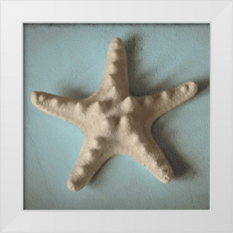 Seashell Study III White Modern Wood Framed Art Print by Jacks, Heather