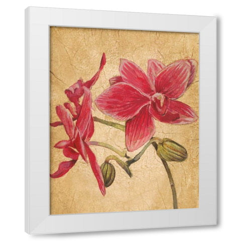 HawaiianTropics II White Modern Wood Framed Art Print by Jardine, Liz