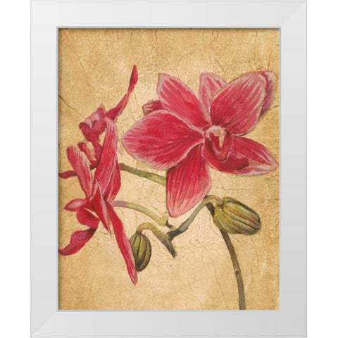 HawaiianTropics II White Modern Wood Framed Art Print by Jardine, Liz