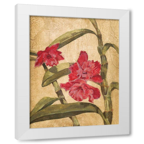 Hawaiian Tropics III White Modern Wood Framed Art Print by Jardine, Liz