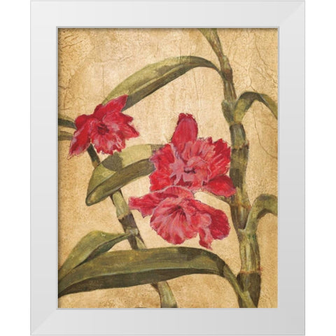 Hawaiian Tropics III White Modern Wood Framed Art Print by Jardine, Liz