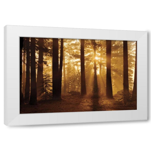 Tahoe Smoky Sunrise White Modern Wood Framed Art Print by Jones, Mike