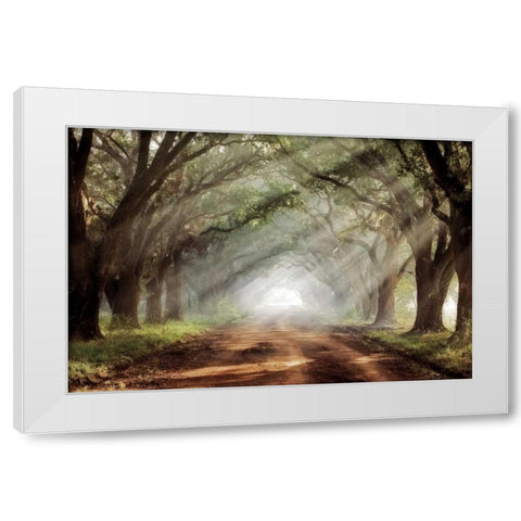 Evergreen Plantation White Modern Wood Framed Art Print by Jones, Mike