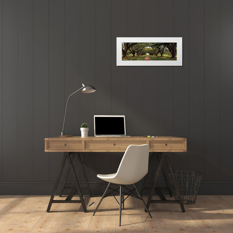 Enchanted Oaks White Modern Wood Framed Art Print by Jones, Mike