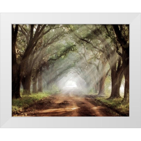 Evergreen Plantation White Modern Wood Framed Art Print by Jones, Mike