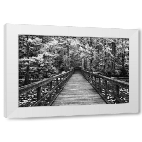 A Walk Into Tranquility White Modern Wood Framed Art Print by Jones, Mike