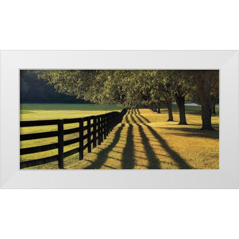 Chasing Shadows White Modern Wood Framed Art Print by Jones, Mike