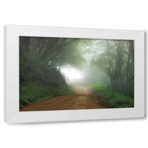 Road to Nowhere White Modern Wood Framed Art Print by Jones, Mike