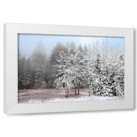 Frosty Morning White Modern Wood Framed Art Print by Jones, Mike