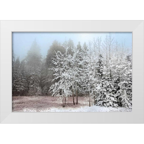 Frosty Morning White Modern Wood Framed Art Print by Jones, Mike