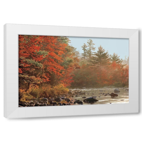 Foggy River White Modern Wood Framed Art Print by Jones, Mike