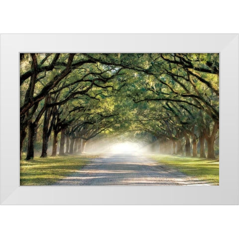 Hope and Glory White Modern Wood Framed Art Print by Jones, Mike