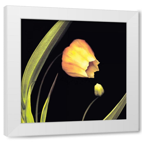 Japanese Lanterns White Modern Wood Framed Art Print by Levine, Andrew