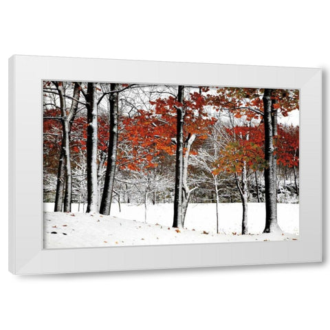 SnowFall White Modern Wood Framed Art Print by Lieberman , Burney