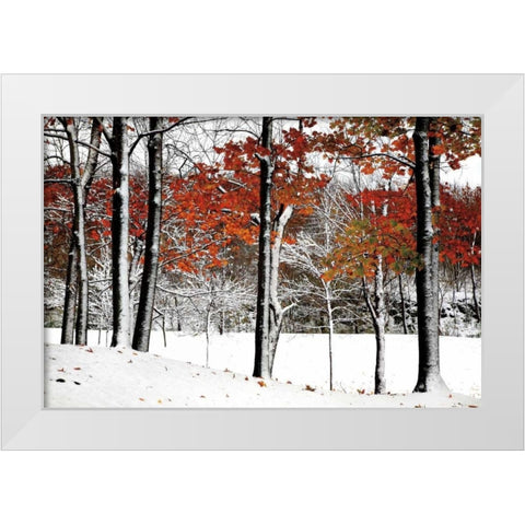 SnowFall White Modern Wood Framed Art Print by Lieberman , Burney