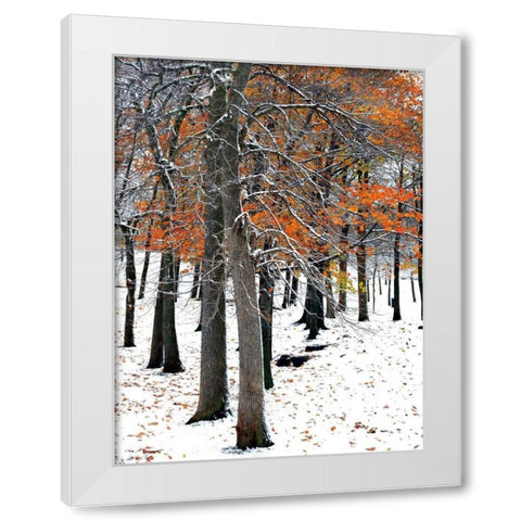 SnowFall II White Modern Wood Framed Art Print by Lieberman , Burney
