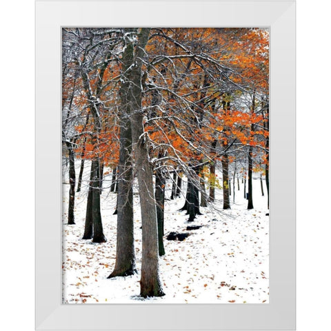 SnowFall II White Modern Wood Framed Art Print by Lieberman , Burney