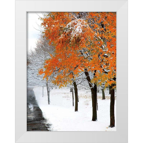 SnowFall III White Modern Wood Framed Art Print by Lieberman , Burney