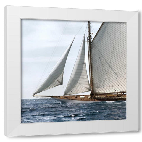 Sailing South White Modern Wood Framed Art Print by Llovet, Jorge