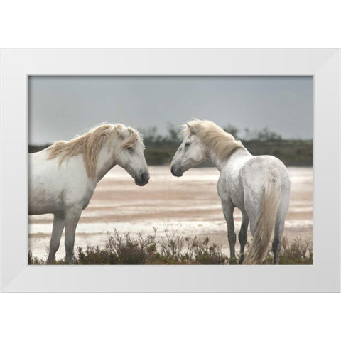 Friendship White Modern Wood Framed Art Print by Llovet, Jorge