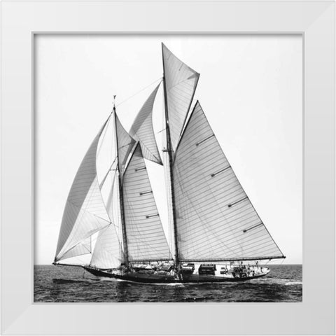 Adrift II White Modern Wood Framed Art Print by Llovet, Jorge
