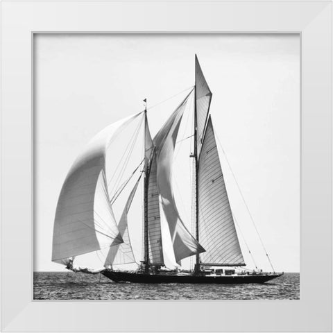 Adrift I White Modern Wood Framed Art Print by Llovet, Jorge