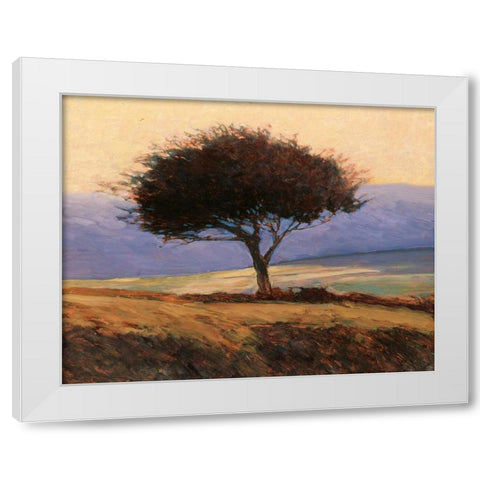 Cloondaff White Modern Wood Framed Art Print by Lovelace, Kent