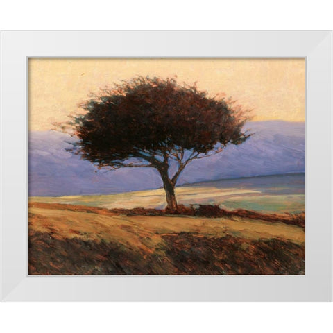 Cloondaff White Modern Wood Framed Art Print by Lovelace, Kent
