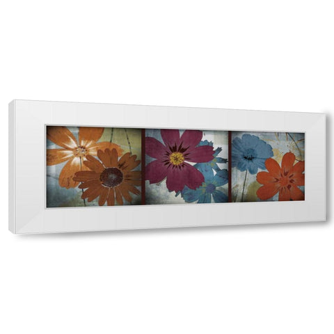 In the Cosmos White Modern Wood Framed Art Print by Robert, Lacie