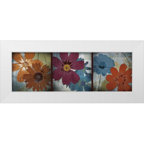 In the Cosmos White Modern Wood Framed Art Print by Robert, Lacie