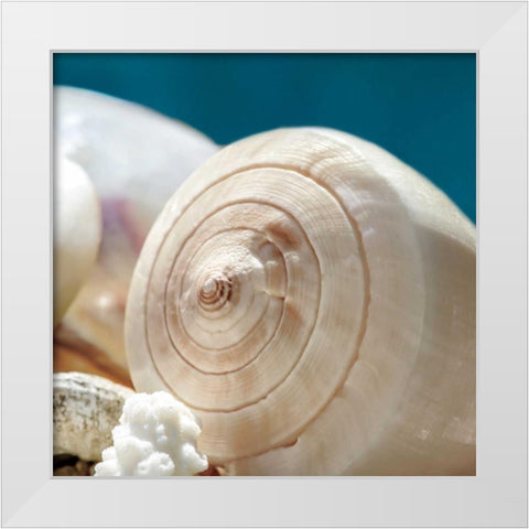 Shell Quartet White Modern Wood Framed Art Print by Marie, Dina