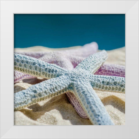 Color Full White Modern Wood Framed Art Print by Marie, Dina