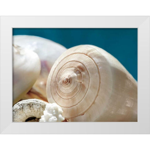 Shell Quartet White Modern Wood Framed Art Print by Marie, Dina