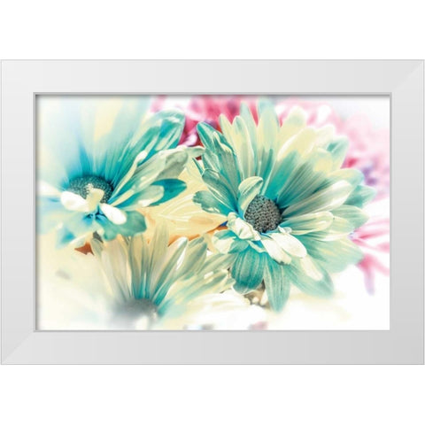 Colored Stars White Modern Wood Framed Art Print by Marie, Dina