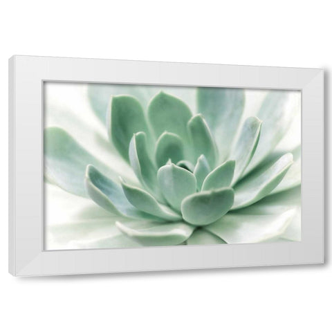 Zen White Modern Wood Framed Art Print by Marie, Dina