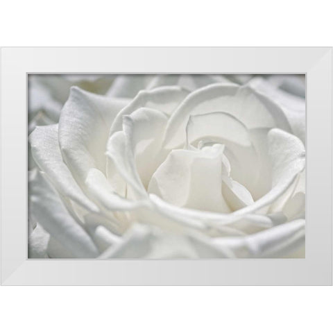 Coolness White Modern Wood Framed Art Print by Marie, Dina