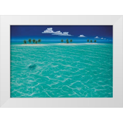 Turtle Crossing White Modern Wood Framed Art Print by Mackin, Dan