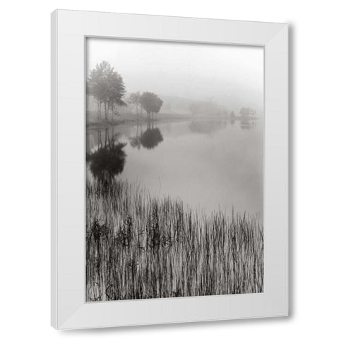 Lakeside Mist White Modern Wood Framed Art Print by Nagler, Monte