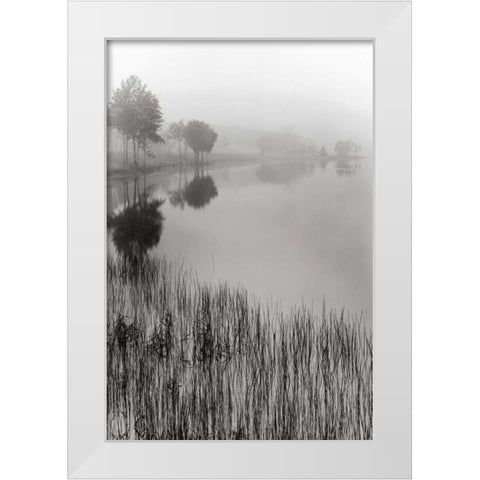 Lakeside Mist White Modern Wood Framed Art Print by Nagler, Monte