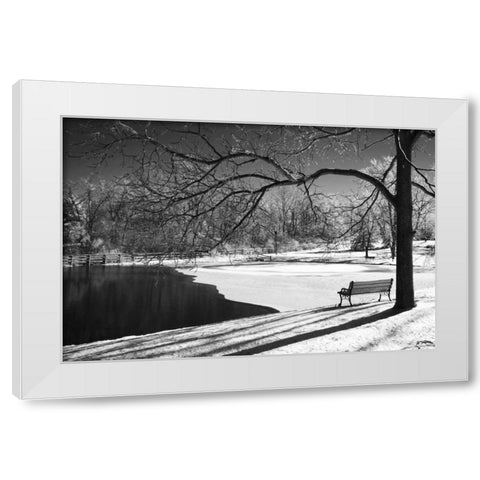 Heritage Pond in Winter White Modern Wood Framed Art Print by Nagler, Monte