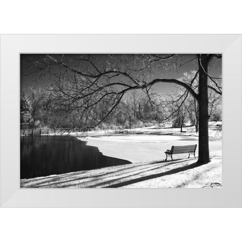 Heritage Pond in Winter White Modern Wood Framed Art Print by Nagler, Monte