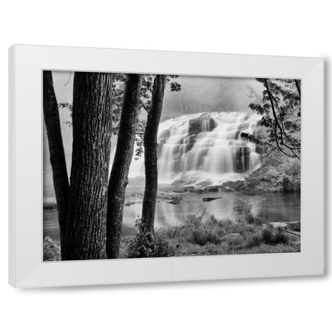 Bond Falls and Trees White Modern Wood Framed Art Print by Nagler, Monte