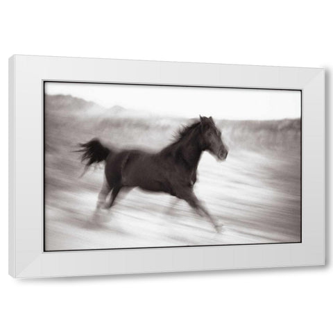 Americana White Modern Wood Framed Art Print by OMara, James
