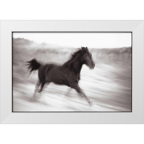 Americana White Modern Wood Framed Art Print by OMara, James