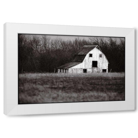 Americana White Modern Wood Framed Art Print by OMara, James
