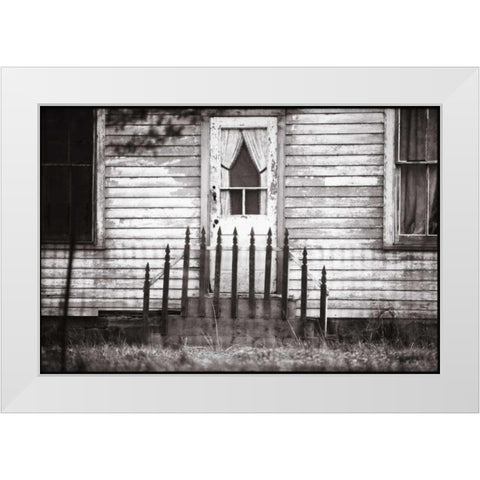 Americana White Modern Wood Framed Art Print by OMara, James