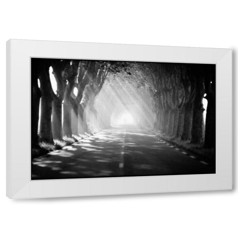 Provence White Modern Wood Framed Art Print by OMara, James