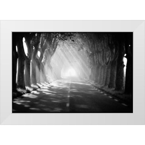 Provence White Modern Wood Framed Art Print by OMara, James